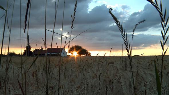 Paysage de Wavre © Ooh ! Collective