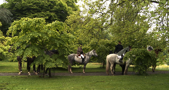 Repos des chevaux, parc du château du Chenois © Ooh ! Collective